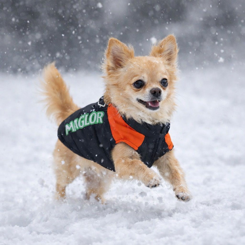 MIGLOR Hundejacke – illustrative Trageansicht Schnee