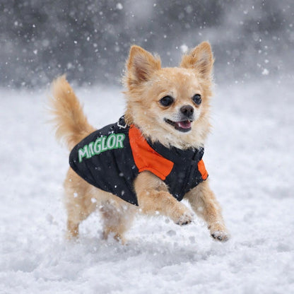MIGLOR Hundejacke – illustrative Trageansicht Schnee