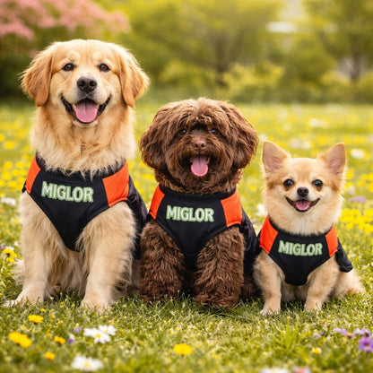 MIGLOR Hundejacke – illustrative Trageansicht Wiese